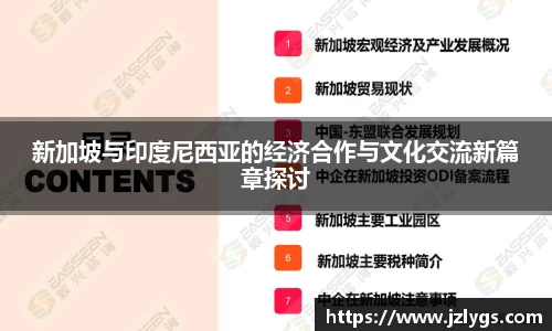 新加坡与印度尼西亚的经济合作与文化交流新篇章探讨